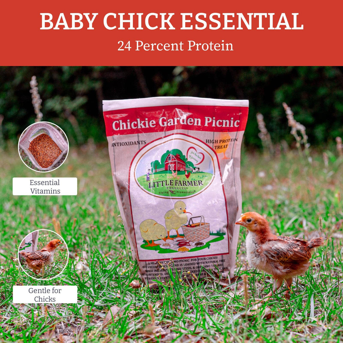 Nyhet! "Chickie Garden Picnic", GMO- og soyafritt snacks til kyllinger.
