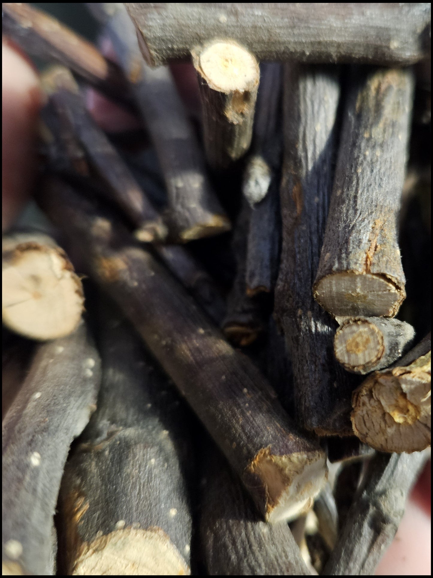 Produktnyhet! Tørkede greiner av epletre.