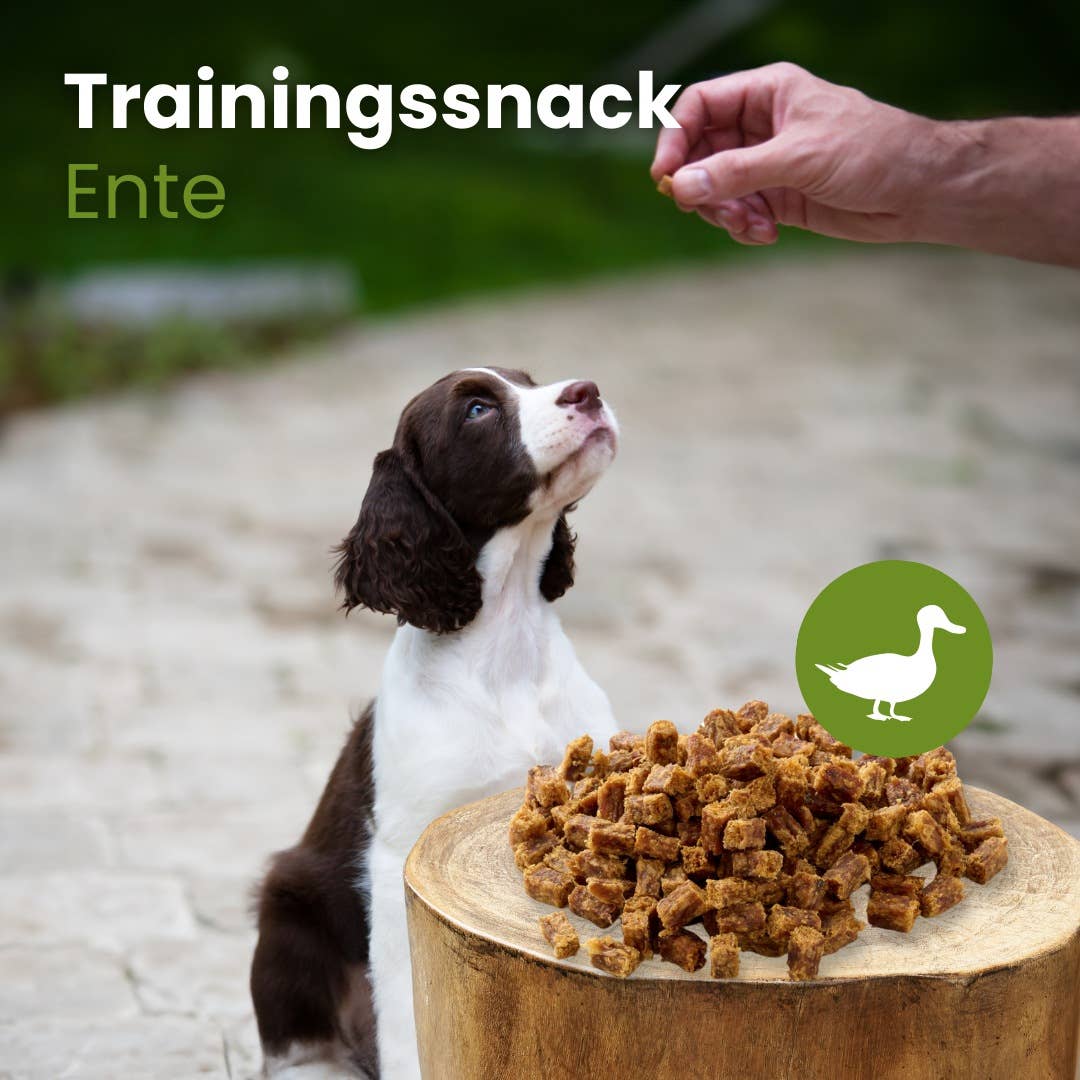 Forhåndssalg 10%, utsending fra uke 33! Training Snack Duck (Oversettelse kommer)