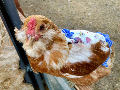 Nyhet! Hen Couture® Hen Saddle Apron Chicken Protection Outfit (Oversettelse kommer)