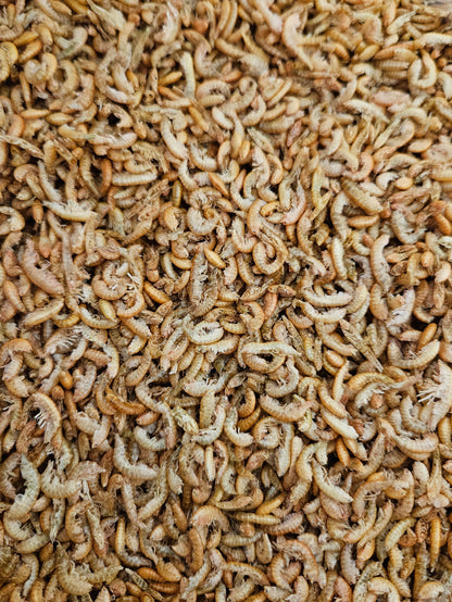 Tørkede gammarus (tanglopper/marflo).