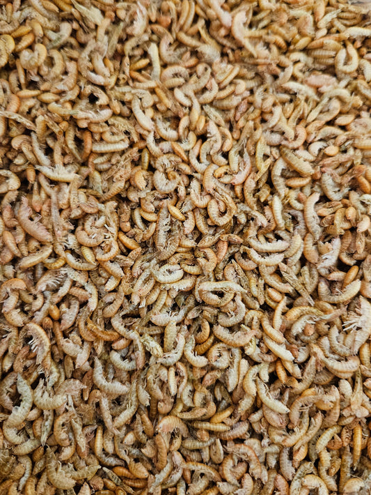 Ryddesalg på utvalgte vektalternativer! Tørkede gammarus (tanglopper/marflo).