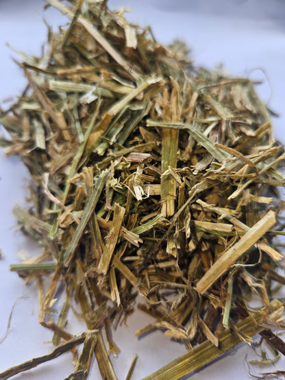 Alfalfa/lusern.