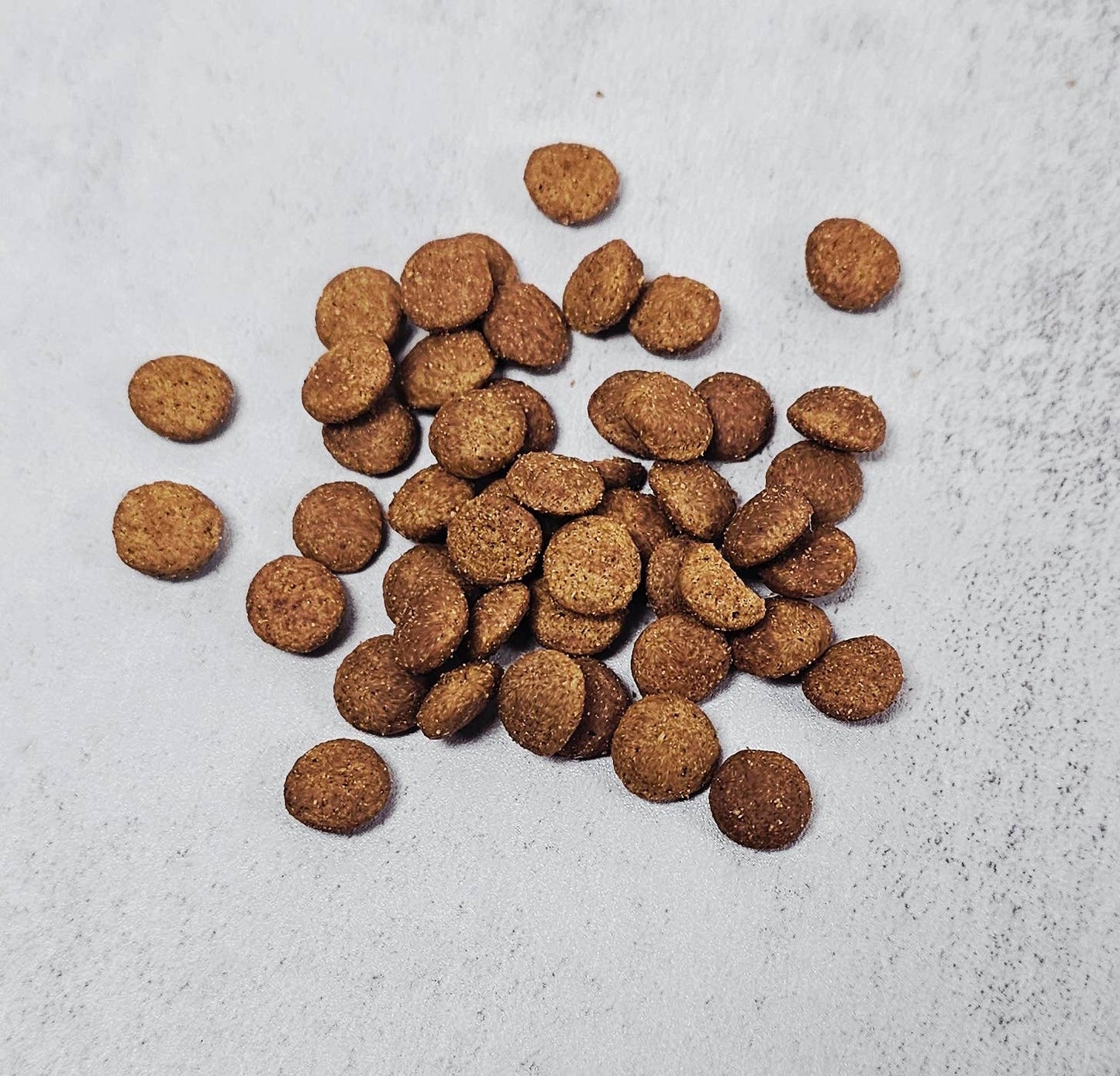 Forhåndssalg 10%, utsending fra uke 33/34! Spirit of Wild Cat Turkey and Chicken (Oversettelse kommer)