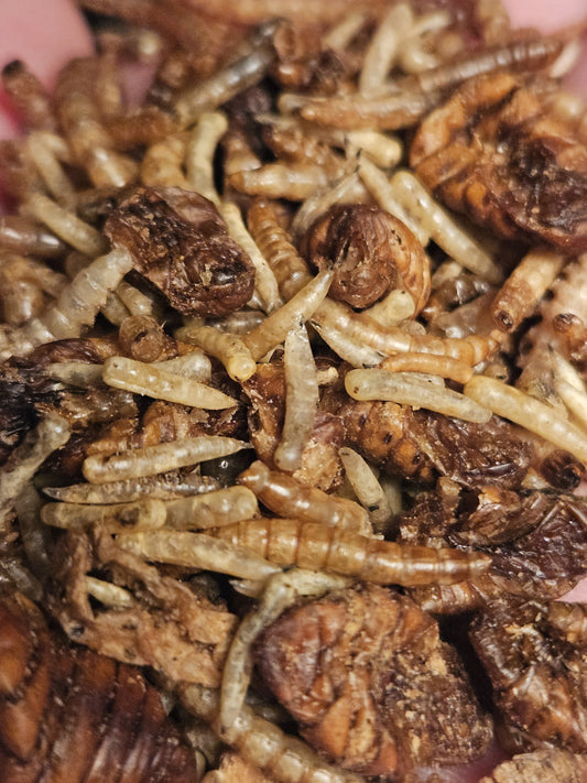 Proteincocktail som fòr. -Smaksprøverabatt på 100 grams pose.