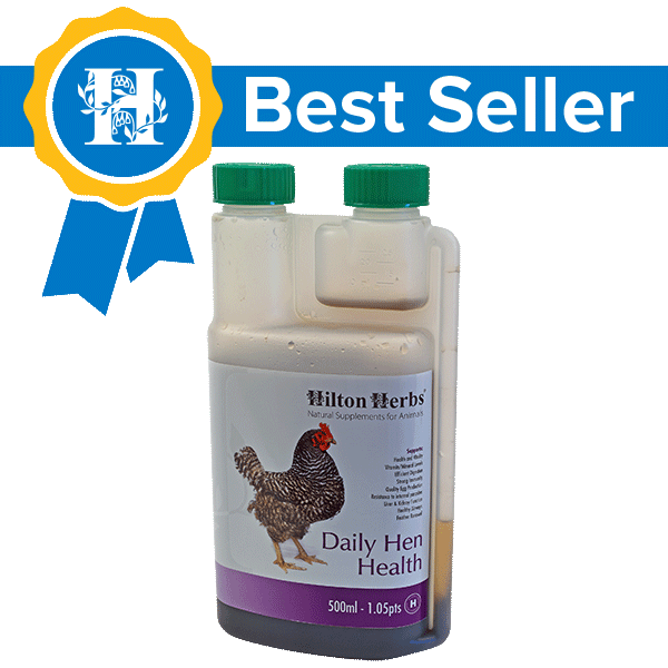 Nyhet! "Hilton Herbs Daily Hen Health" – Daglig urtetilskudd for fjørfe.