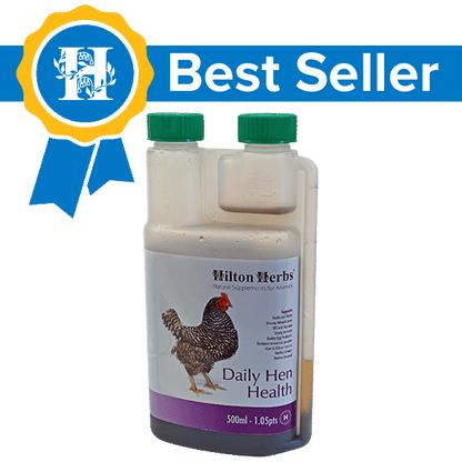 Nyhet! "Hilton Herbs Daily Hen Health" – Daglig urtetilskudd for fjørfe.