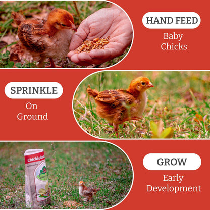Nyhet! "Chickie Garden Picnic", GMO- og soyafritt snacks til kyllinger.