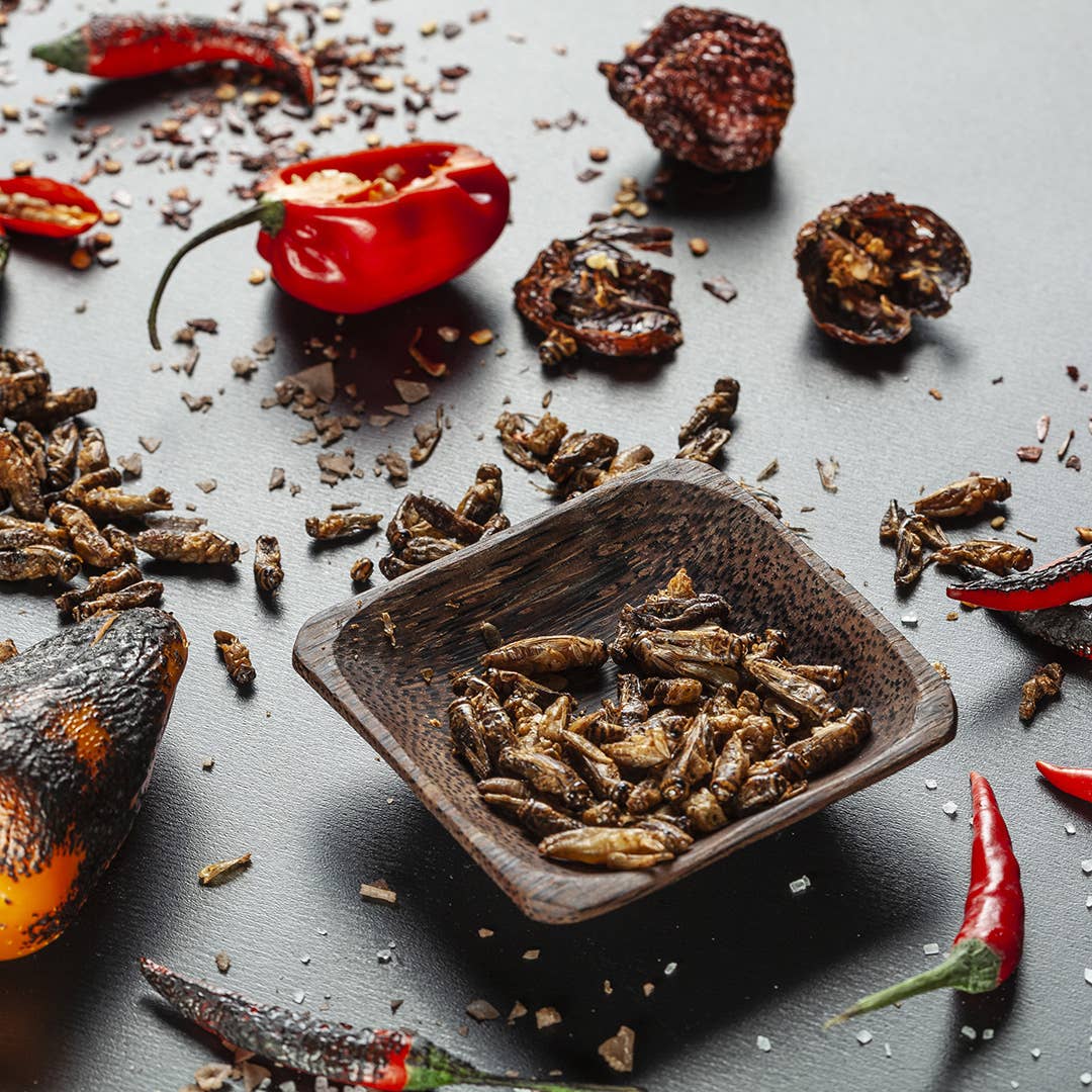 Første utsending uke 33. Roasted Edible Insects In Snack Gift Box (Oversettelse kommer)