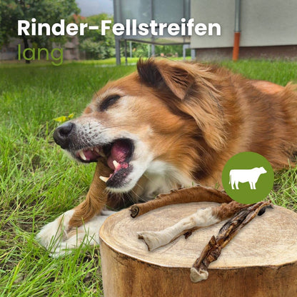 Forhåndssalg 10%, utsending fra uke 33! Cattle fur strip, long (Oversettelse kommer)