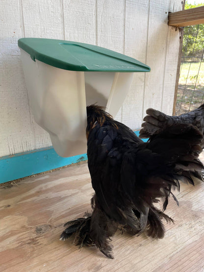 Nyhet! Chicken VFeedr No Waste Hanging Poultry Feeder 5-lbs (Oversettelse kommer)