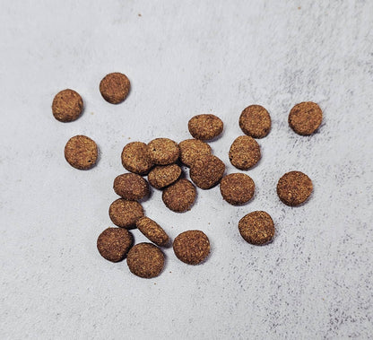 Forhåndssalg 10%, utsending fra uke 33/34! Spirit of Wild Cat Chicken with Tuna (Oversettelse kommer)