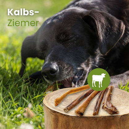 Forhåndssalg 10%, utsending fra uke 33! Veal Ziemer 12 cm (Oversettelse kommer)