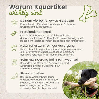 Forhåndssalg 10%, utsending fra uke 33! Beef chew sticks, twisted 5-6mm (Oversettelse kommer)