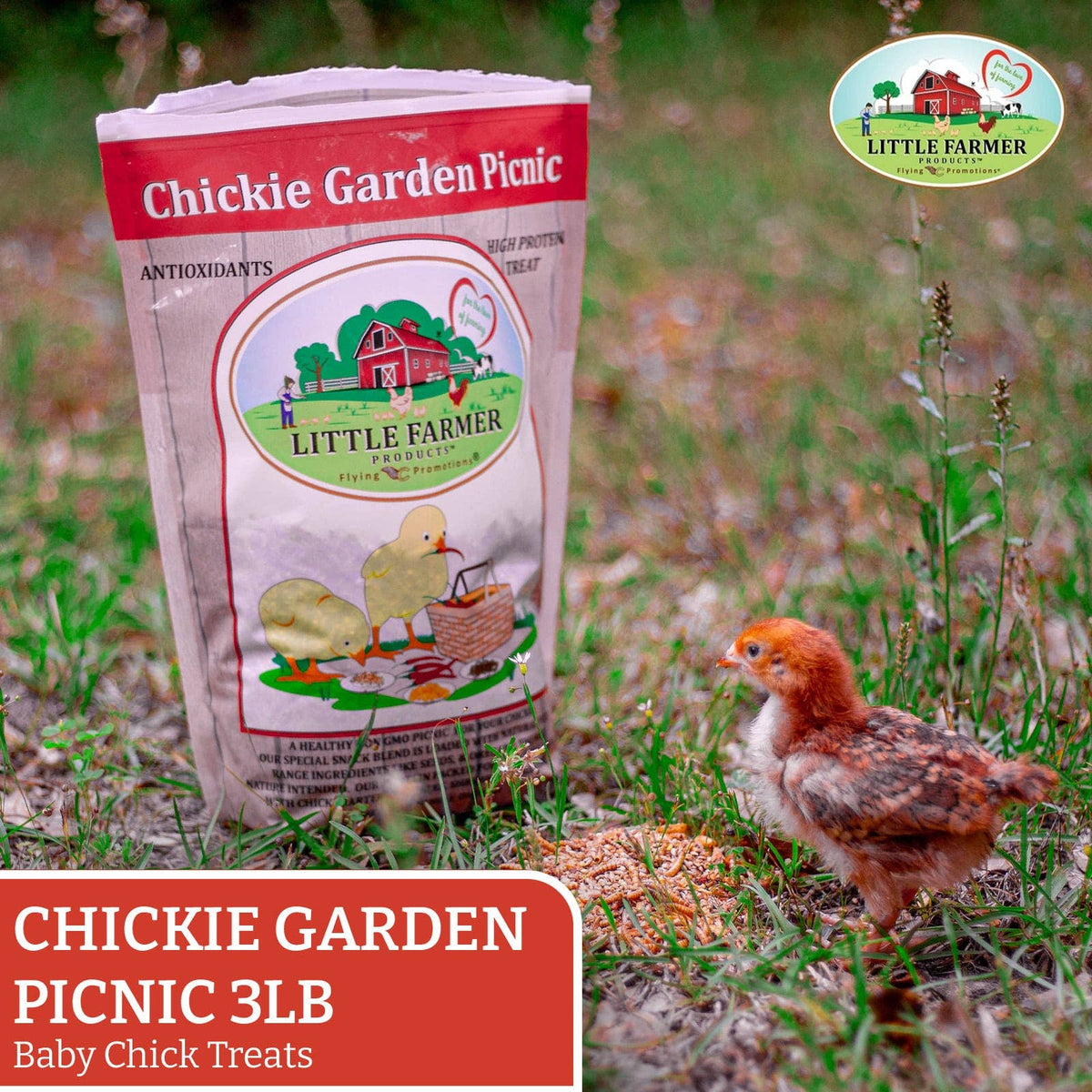Nyhet! "Chickie Garden Picnic", GMO- og soyafritt snacks til kyllinger.