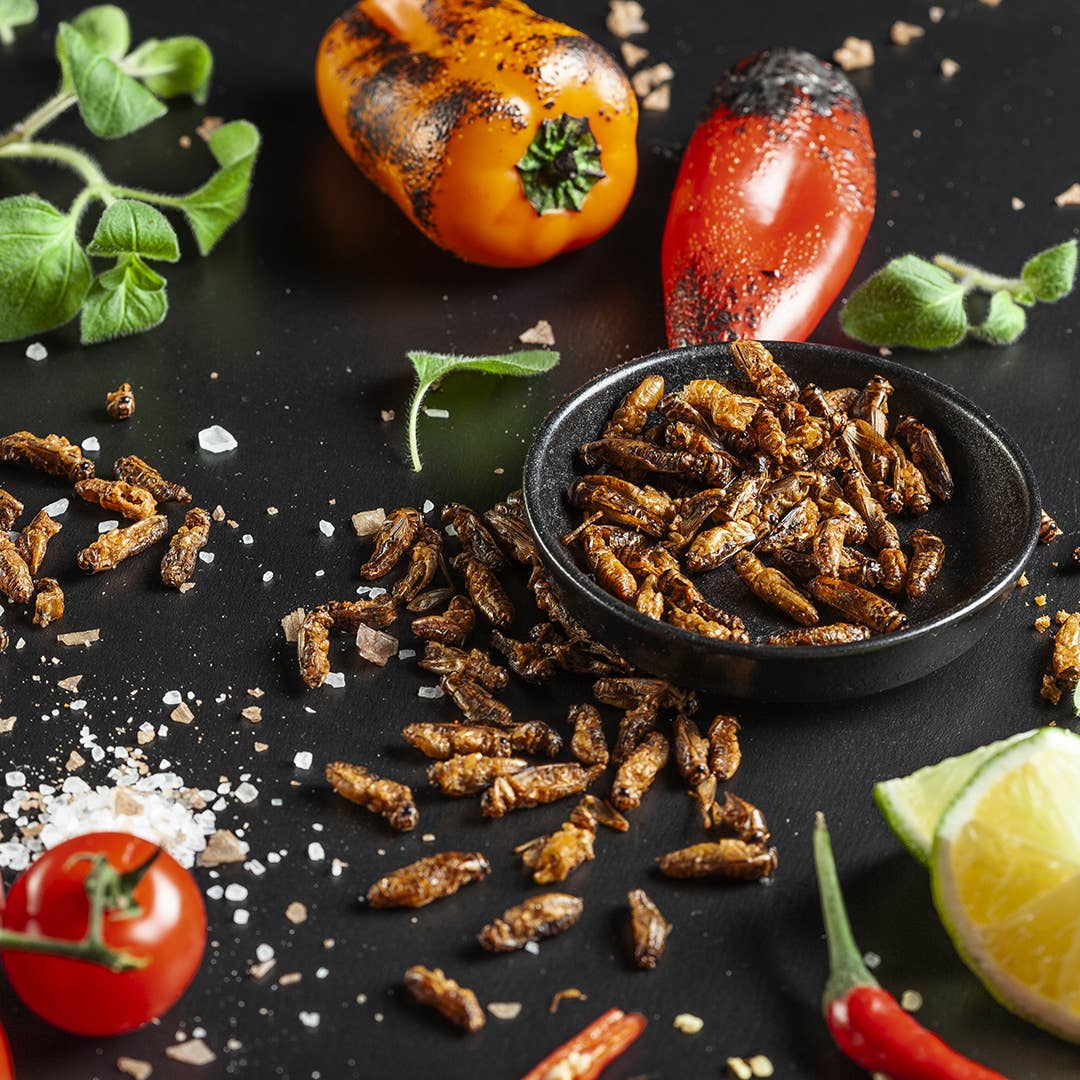 Første utsending uke 33. Roasted Edible Insects In Snack Gift Box (Oversettelse kommer)