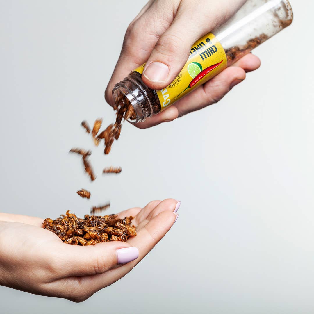Første utsending uke 33. Roasted Edible Insects In Snack Gift Box (Oversettelse kommer)