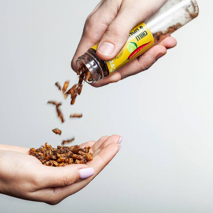 Første utsending uke 33. Roasted Edible Insects In Snack Gift Box (Oversettelse kommer)