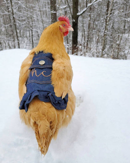 Nyhet! Hen Couture® Hen Saddle Apron Chicken Protection Outfit (Oversettelse kommer)