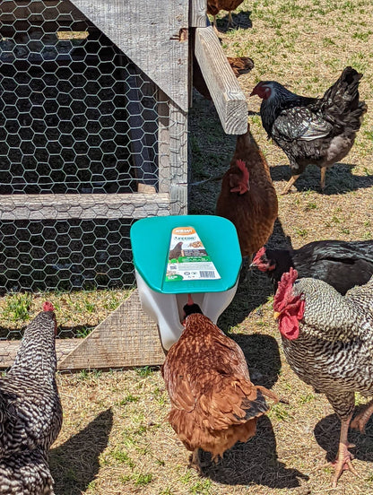 Nyhet! Chicken VFeedr No Waste Hanging Poultry Feeder 5-lbs (Oversettelse kommer)