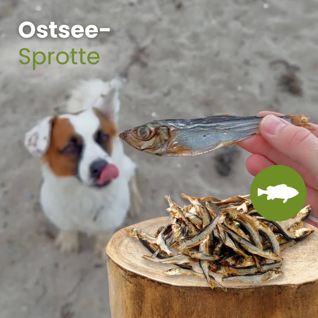 Forhåndssalg 10%, utsending fra uke 33! Baltic sprat (Oversettelse kommer)