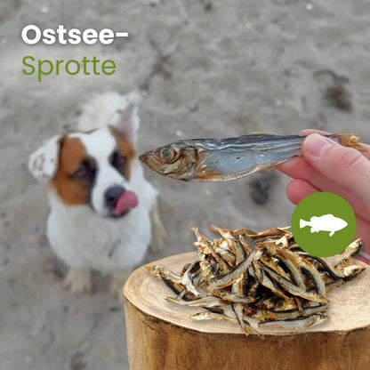 Forhåndssalg 10%, utsending fra uke 33! Baltic sprat (Oversettelse kommer)