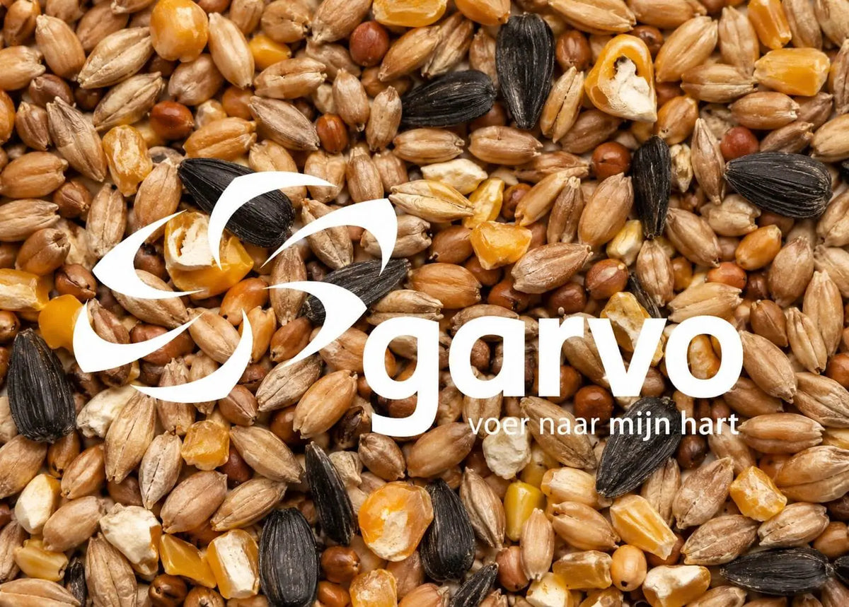 "Garvo 4140 Mixed Corn + Seashells + Sunflowerseeds" – Kornblanding for voksne høns. GMO-fritt.