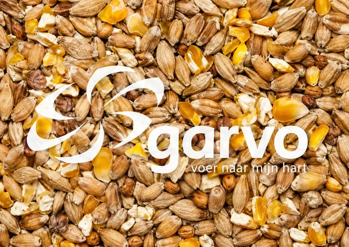 "Garvo 5141 Mixed Corn + Cracked Maize"– Kornblanding for voksne høns. GMO-fritt.